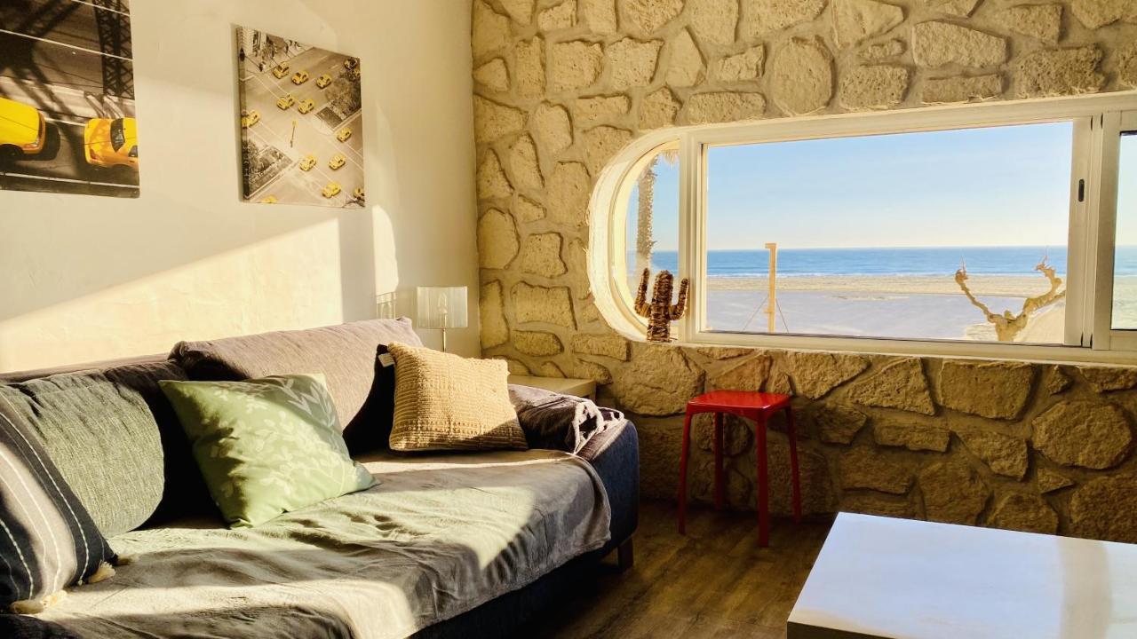 "Mediterranee" Salon Vue Mer Au Coeur De La Ville 10M De La Plage 카네트 외부 사진